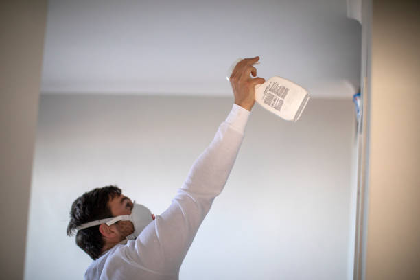 Office Mold Removal Services in Onarga, IL