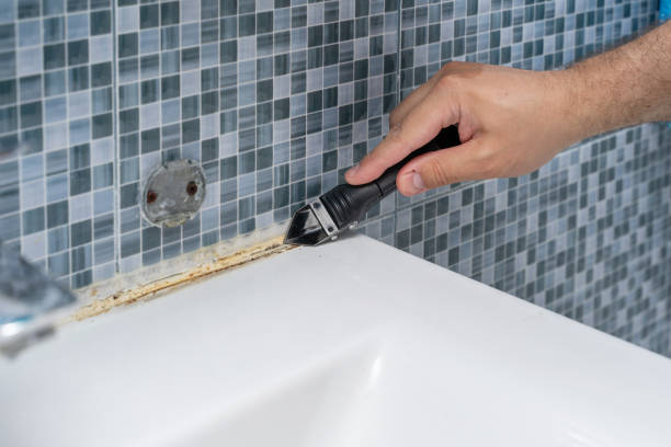 Best Certified Mold Removal  in Onarga, IL
